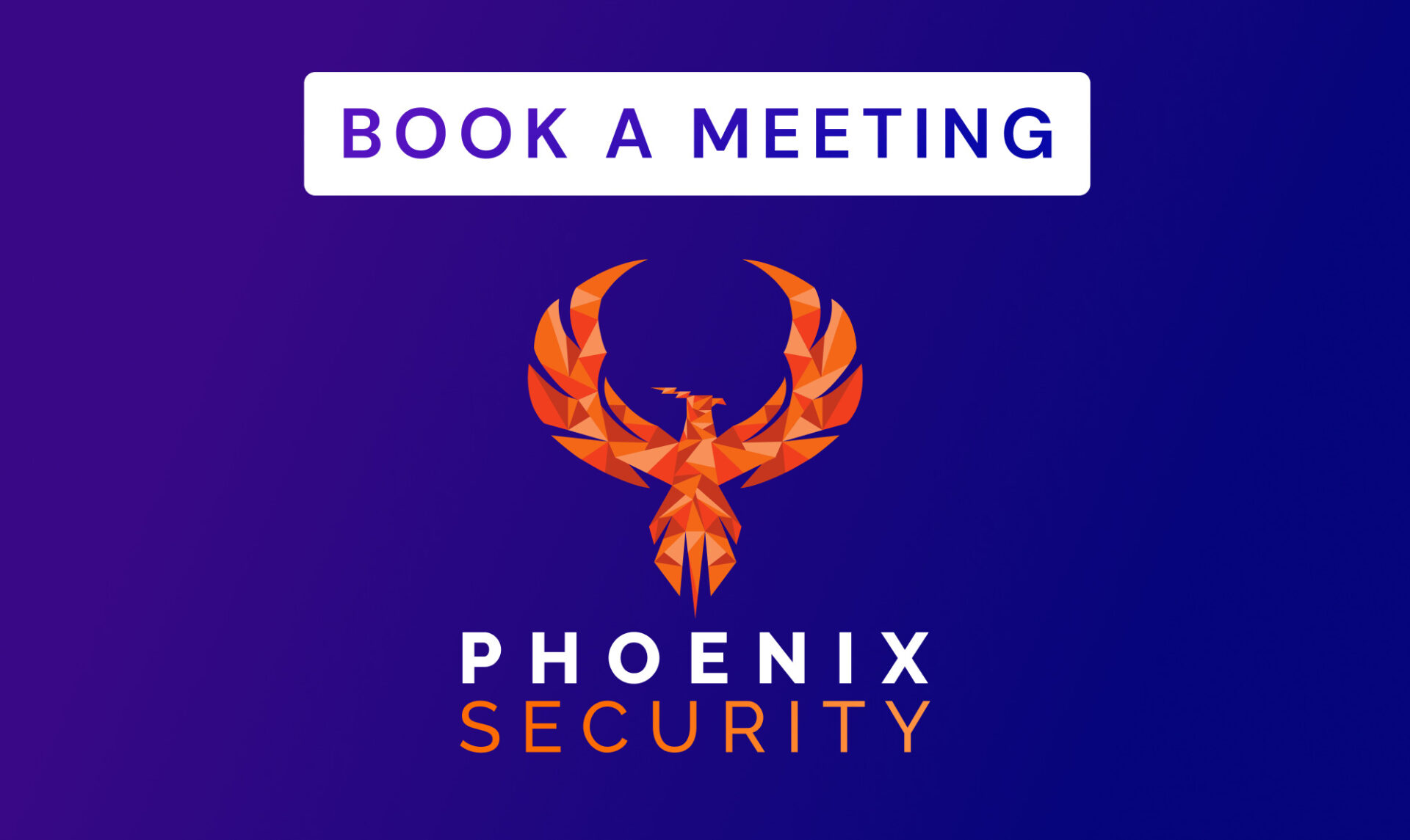 Book a meeting Phoenix Security